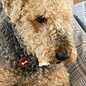 Meet your Posher, Helen